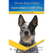 Australian Cattle Dogs: Divine Dogs Online