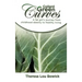 Collard Green Curves: A fat girl's Journey from Childhood Obesity to Healthy Living