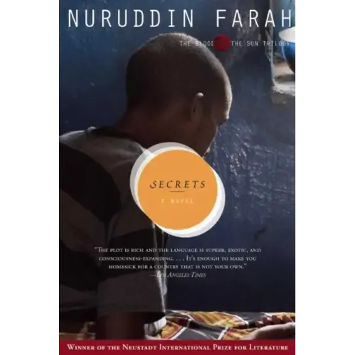 Secrets: A Novelvolume 3