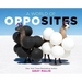 A World of Opposites: A Picture Book