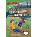 Ballpark Mysteries #15: The Baltimore Bandit