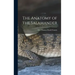 The Anatomy of the Salamander