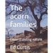 The acorn families: Living lessons for kids