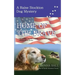 Home of the Brave