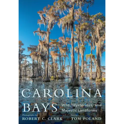 Carolina Bays: Wild, Mysterious, and Majestic Landforms