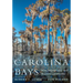 Carolina Bays: Wild, Mysterious, and Majestic Landforms
