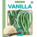 Vanilla