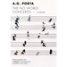 No World Concerto