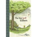 The Big Wet Balloon: Toon Books Level 2