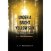 Under a Bright Yellow Sun: The Bronze Sword