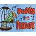 Puffy The Parrot