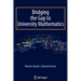 Bridging the Gap to University Mathematics