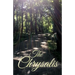 The Chrysalis
