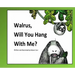 Walrus, Will You Hang With Me?