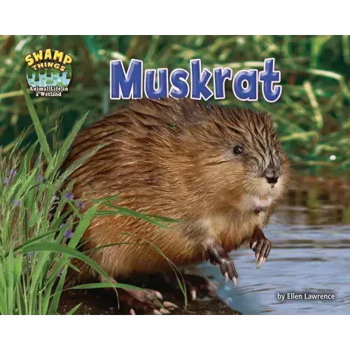Muskrat