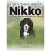 The Adventures of NIKKO: The Bernese Swiss Mountain Dog