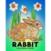 Rabbit Coloring Book: Animal Stress-relief Coloring Book For Adults and Grown-ups