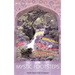 In the Mystic Footsteps of Saints, Vol. 2