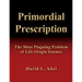Primordial Prescription
