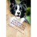 The Friendly World of the Border Collie: Inside the Minds of the Smartest Dogs in the World