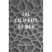 Caliphate of Man: Popular Sovereignty in Modern Islamic Thought