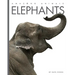 Elephants