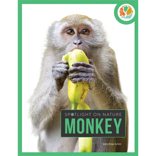 Monkey