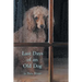 Last Days of an Old Dog