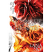 The Complete Ellie Gray Chronicles: A Vampire Romance: Drain Me & Chain Me