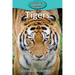 Tigers