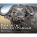 Days in the African Savannah