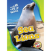 Sea Lions
