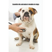 Essential Oils and Natural Remedies for Dogs: Comprehensive Guide to Keep Your Dog Healthy
