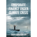Corporate Finance Under Climate Crisis: Sustainability Transitions in Theory and Practice
