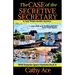 The Case of the Secretive Secretary: A WISE Enquiries Agency cozy Welsh murder mystery