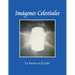 Imágenes Celestiales