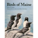 Birds of Maine