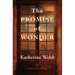 The Promise of Wonder