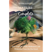 Mature and Complete: How God Uses Trials, Brokenness, and Wilderness Times for Our Good