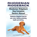 Rhodesian Ridgeback. Rhodesian Ridgeback Dog Complete Owners Manual. Rhodesian Ridgeback book for care, costs, feeding, grooming, health and training.