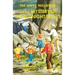 The Happy Hollisters and the Mystery of the Midnight Trolls