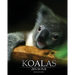 Koalas: Zen In Fur (Trade Color Edition)