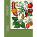 Notes on Varieties of Tomatoes and Tomato Diseases