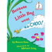 Because a Little Bug Went Ka-Choo!