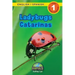 Ladybugs / Catarinas: Bilingual (English / Spanish) (Inglés / Español) Animals That Make a Difference! (Engaging Readers, Level 1)