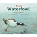 About Waterfowl: A Guide for Children