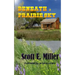 Beneath a Prairie Sky