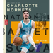 The Story of the Charlotte Hornets