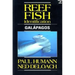 Reef Fish Identification Galapagos