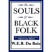 The Souls of Black Folk (An African American Heritage Book)